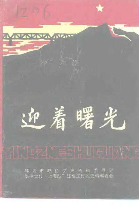 1992版蚌埠文史资料选辑  总第14辑  迎着曙光.pdf电子版_安徽省志缩略图