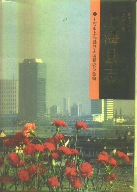 1993.07-上海县志.pdf电子版_上海市志缩略图