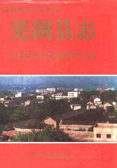 1993版芜湖县志.pdf电子版_安徽省志缩略图