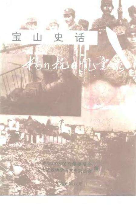 1995-宝山史话  杨行抗日风云录.pdf电子版_上海市志缩略图