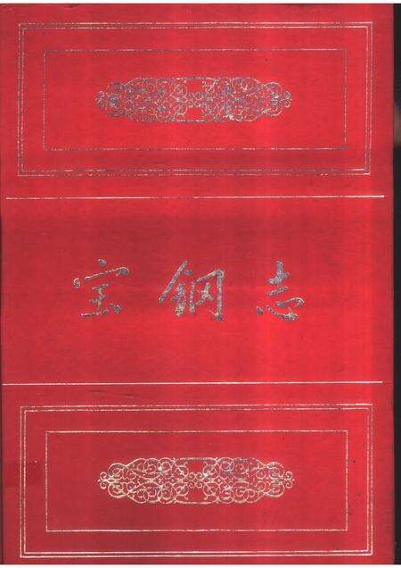 1995-宝钢志.pdf电子版_上海市志缩略图