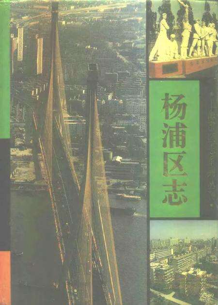 1995-杨浦区志.pdf电子版_上海市志缩略图