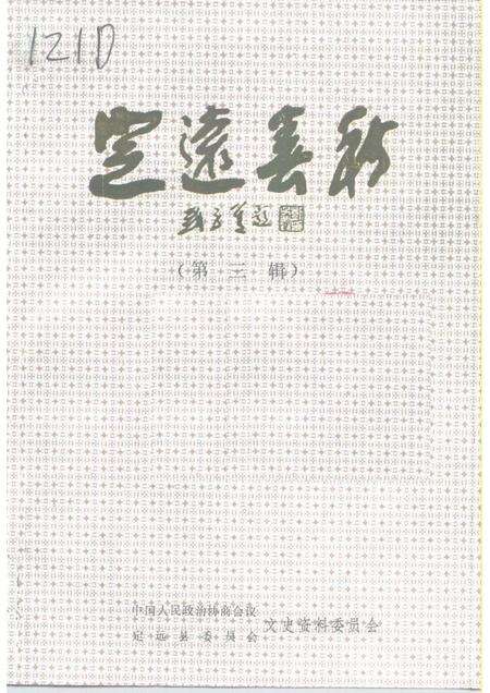 1995版定远春秋  第3辑.pdf电子版_安徽省志缩略图