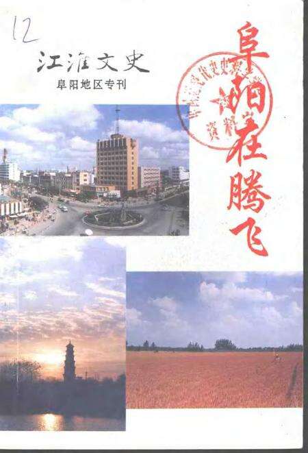 1995版江淮文史  阜阳在腾飞.pdf电子版_安徽省志缩略图