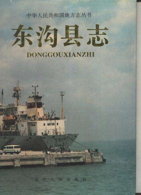 1996-东沟县志.pdf电子版_辽宁省志缩略图