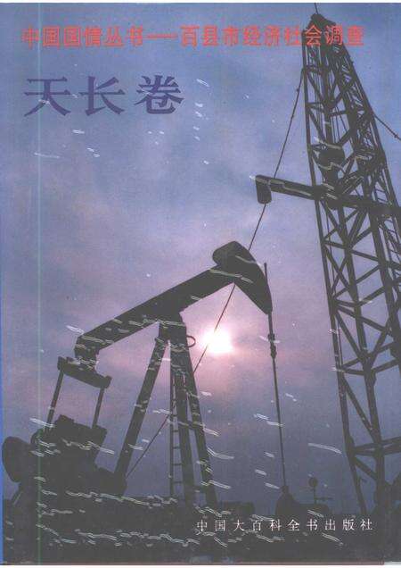 1996版中国国情丛书  百县市经济社会调查  天长卷.pdf电子版_安徽省志缩略图