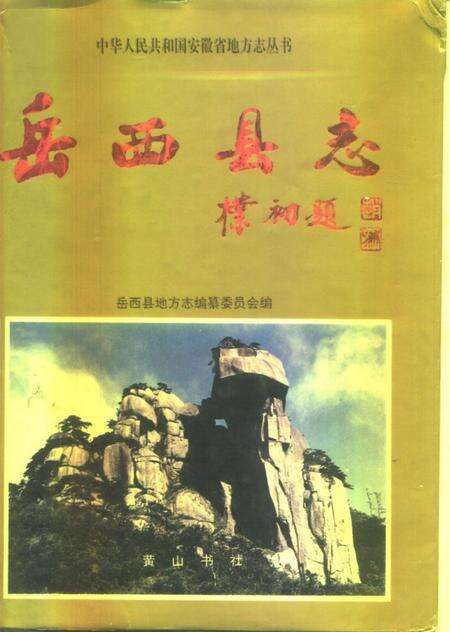 1996版岳西县志.pdf电子版_安徽省志缩略图