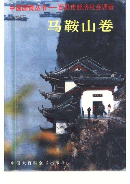 1996版百县市经济社会调查马鞍山卷.pdf电子版_安徽省志缩略图