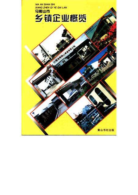 1996版马鞍山市乡镇企业概览.pdf电子版_安徽省志缩略图