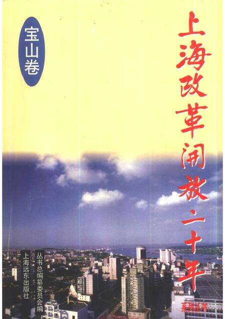 1998-上海改革开放二十年  宝山卷.pdf电子版_上海市志缩略图