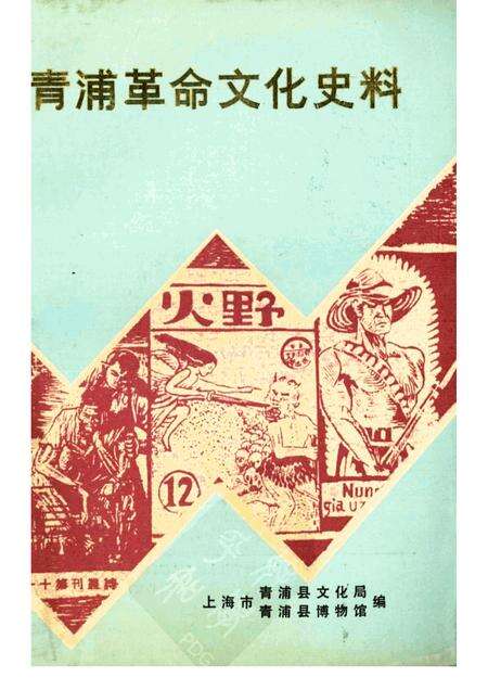 -青浦革命文化史料.pdf电子版_上海市志缩略图
