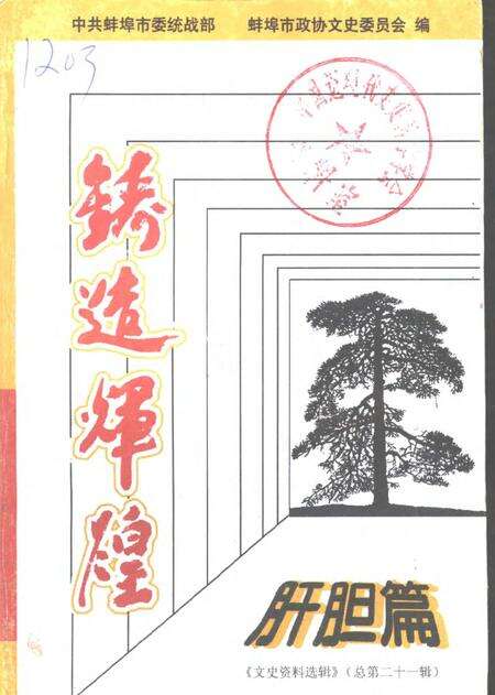 1998版蚌埠文史资料选辑  铸造辉煌  肝胆篇.pdf电子版_安徽省志缩略图