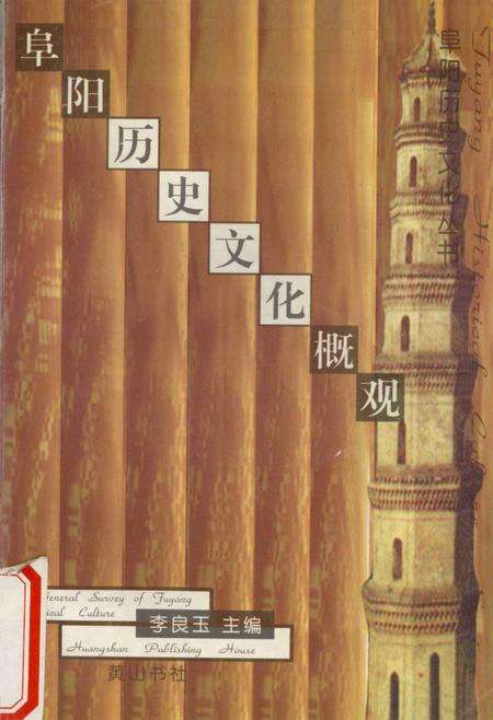 1998版阜阳历史文化概观.pdf电子版_安徽省志缩略图