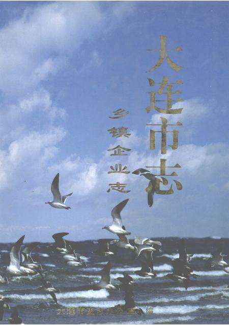 1999-大连市志  乡镇企业志.pdf电子版_辽宁省志缩略图