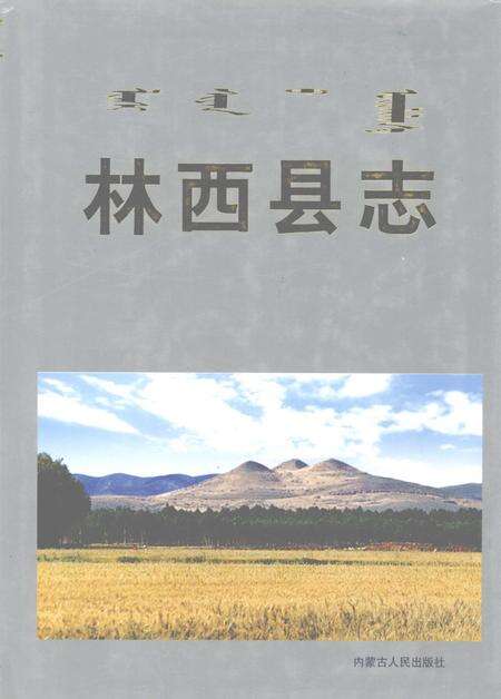 1999-林西县志.pdf电子版_内蒙古志缩略图