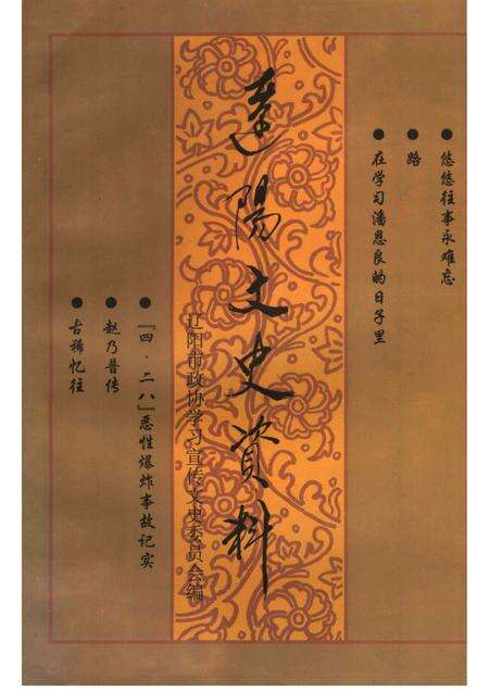 1999-辽阳文史资料  第10辑  献给人民政协成立五十周年.pdf电子版_辽宁省志缩略图