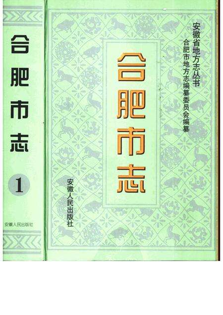 1999版合肥市志  第3册.pdf电子版_安徽省志缩略图