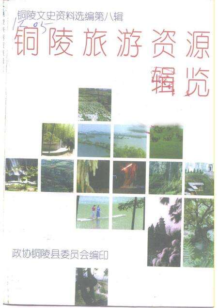 1999版铜陵文史资料选编  第8辑  铜陵旅游资源辑览.pdf电子版_安徽省志缩略图