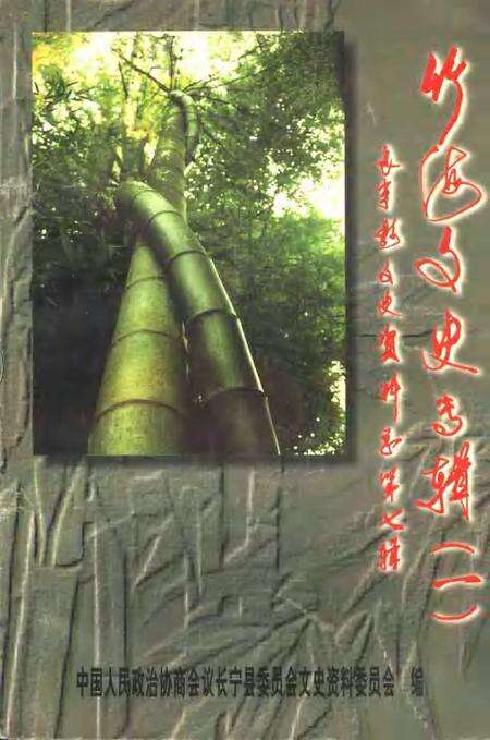 2000-长宁县文史资料  第7辑.pdf电子版_上海市志缩略图
