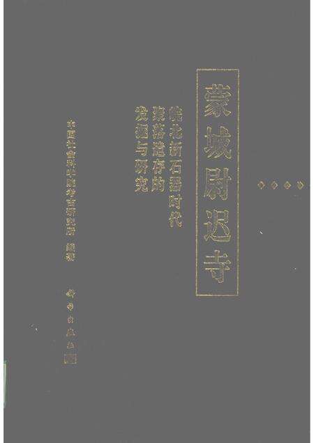 2001版蒙城尉迟寺  皖北新石器时代聚落遗存的发掘与研究.pdf电子版_安徽省志缩略图