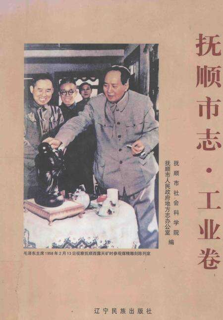 2003-抚顺市志  工业卷.pdf电子版_辽宁省志缩略图