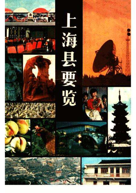 -上海县要览.pdf电子版_上海市志缩略图