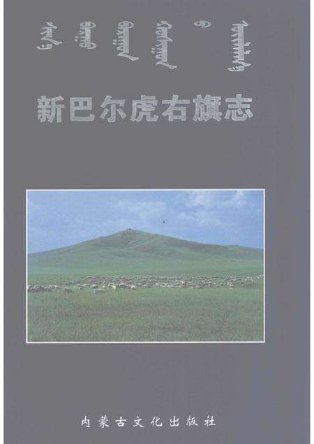2004-新巴尔虎右旗志.pdf电子版_内蒙古志缩略图