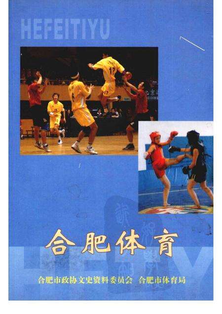 2004版合肥体育.pdf电子版_安徽省志缩略图
