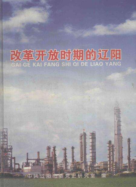2006-改革开放时期的辽阳.pdf电子版_辽宁省志缩略图
