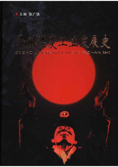 2006-泽州煤炭工业发展史.pdf电子版_山西省志缩略图