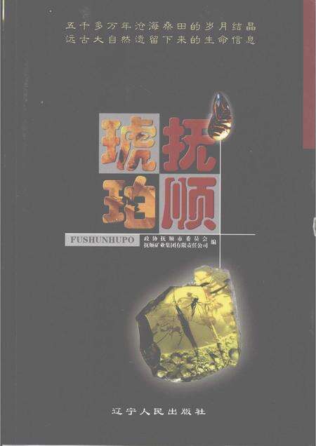 2007-抚顺琥珀.pdf电子版_辽宁省志缩略图