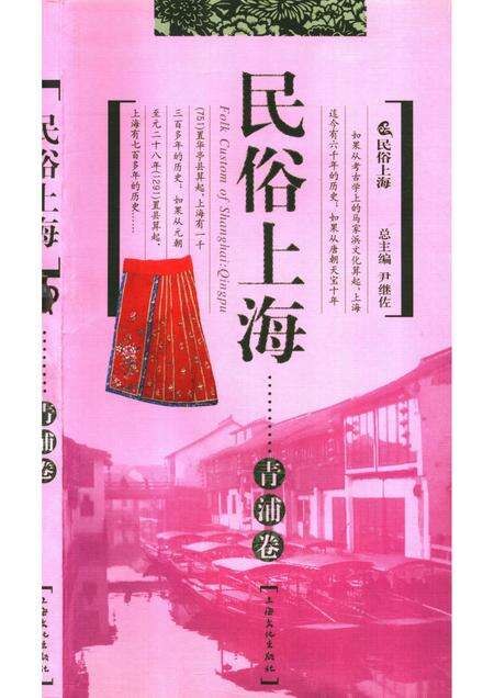2007-民俗上海·青浦卷.pdf电子版_上海市志缩略图