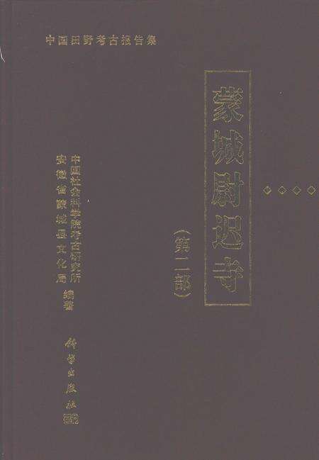 2007版蒙城尉迟寺  第2部.pdf电子版_安徽省志缩略图
