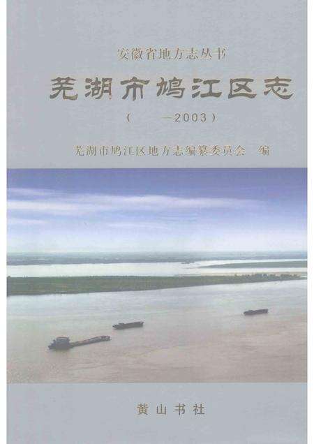 2008版芜湖市鸠江区志    -2003.pdf电子版_安徽省志缩略图