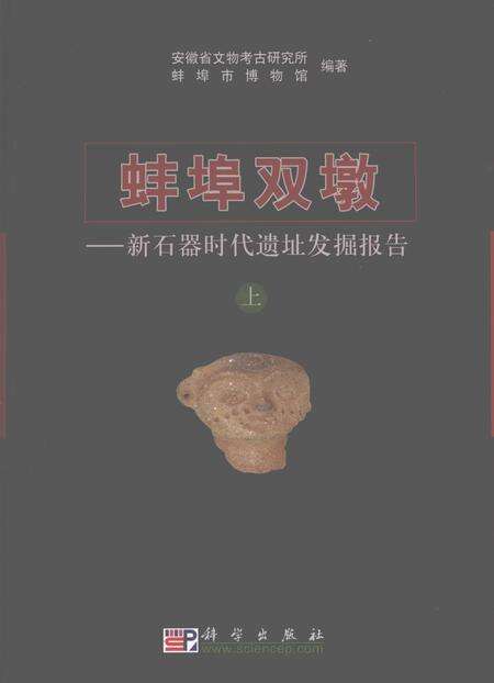 2008版蚌埠双墩  新石器时代遗址发掘报告  上下.pdf电子版_安徽省志缩略图