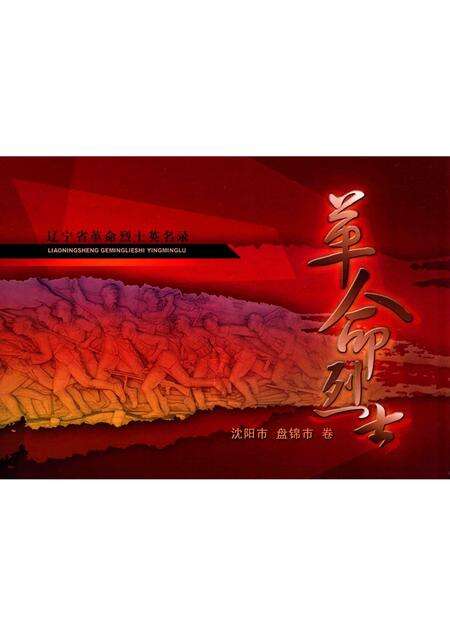 2009-辽宁省革命烈士英名录  沈阳市  盘锦市卷.pdf电子版_辽宁省志缩略图