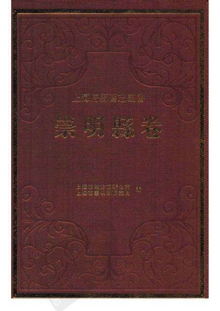 2011-崇明县卷  中.pdf电子版_上海市志缩略图