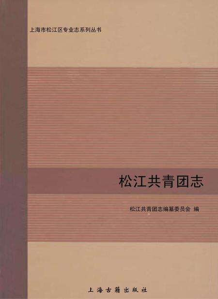 2011-松江共青团志.pdf电子版_上海市志缩略图