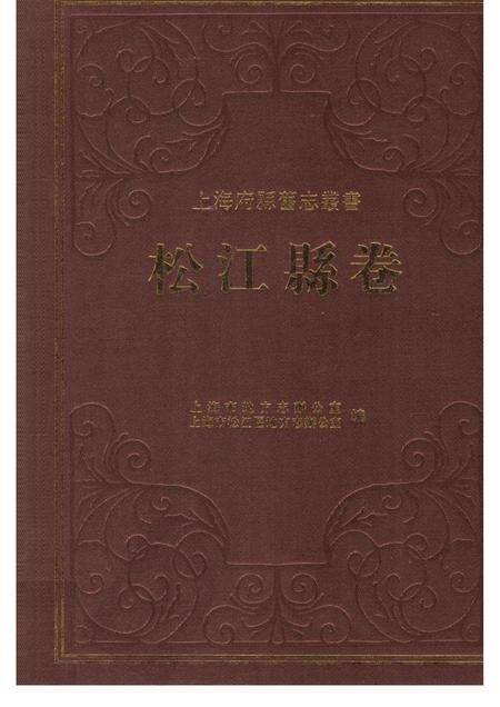 2011-松江县卷  下.pdf电子版_上海市志缩略图