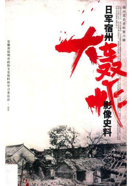 2015版宿州文史资料  日军宿州大轰炸影像史料.pdf电子版_安徽省志缩略图