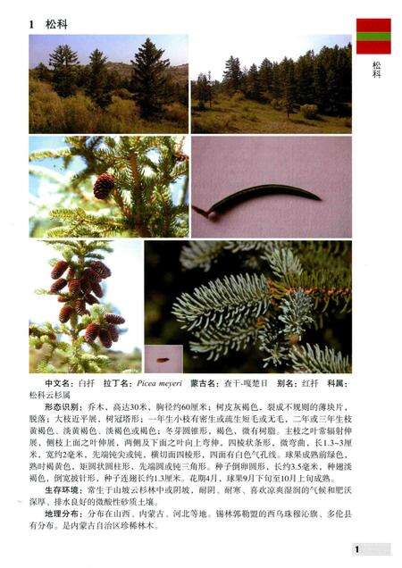 2016-内蒙古自治区锡林郭勒盟木本植物图鉴.pdf电子版_内蒙古志缩略图