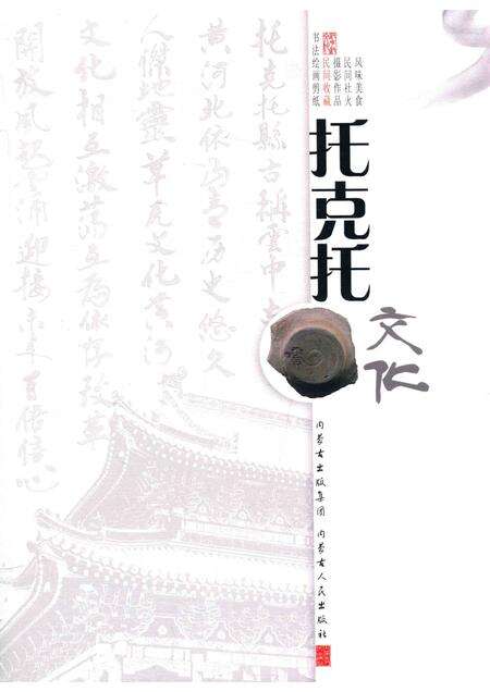 2016-托克托文化  卷2  民间收藏.pdf电子版_内蒙古志缩略图