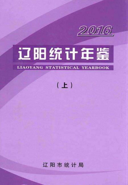 2016-辽阳统计年鉴  2016  上.pdf电子版_辽宁省志缩略图