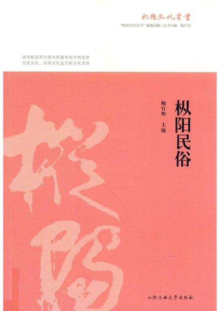 2017版枞阳民俗.pdf电子版_安徽省志缩略图