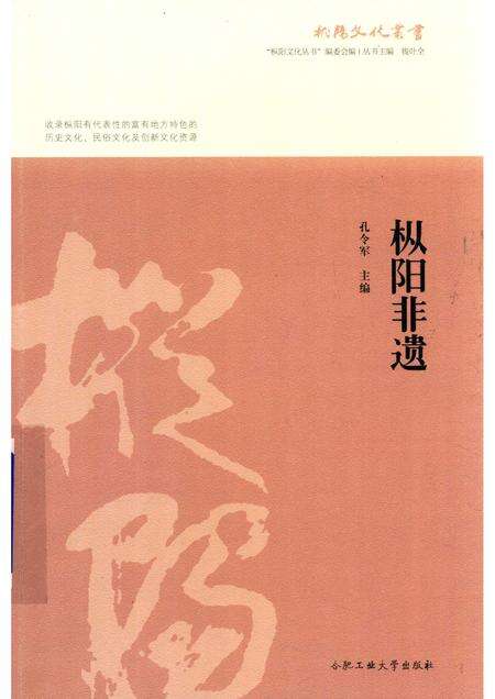 2017版枞阳非遗.pdf电子版_安徽省志缩略图