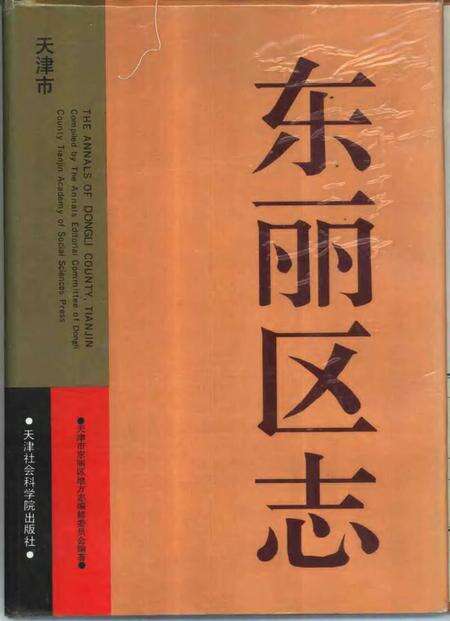 东丽区志.pdf电子版_天津市志缩略图