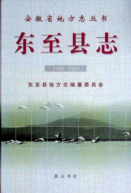 东至县志（1988-2005）.pdf电子版_安徽省志缩略图