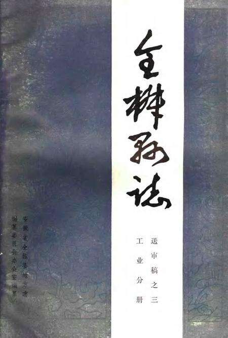 全椒县志  工业分册.pdf电子版_安徽省志缩略图