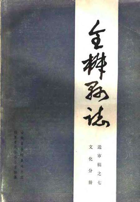 全椒县志  文化分册.pdf电子版_安徽省志缩略图