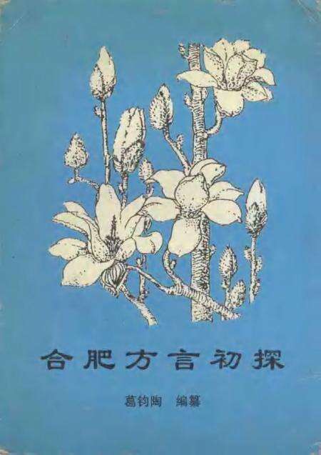 合肥方言初探.pdf电子版_安徽省志缩略图